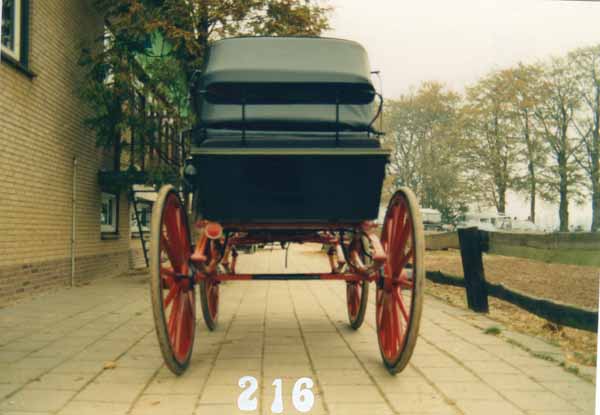 DNR216386.jpg