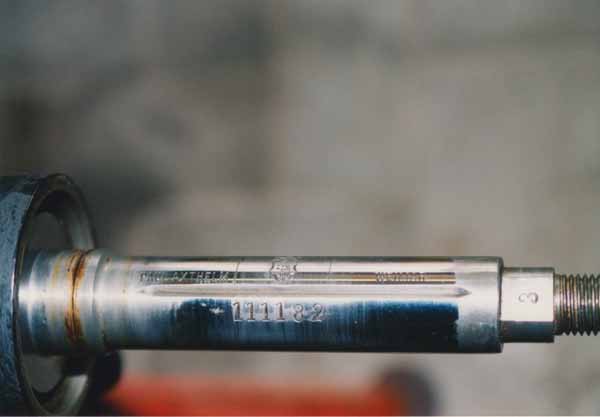 DNR354604.jpg