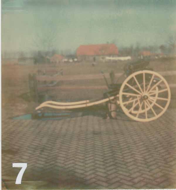 DNR007001.jpg